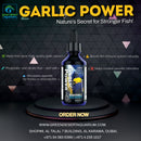Garlic Power 30 mL