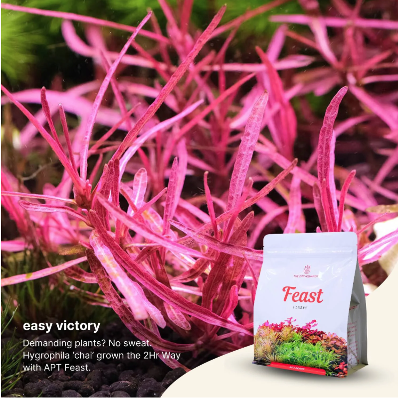 2HR AQUARIST -Apt FEAST