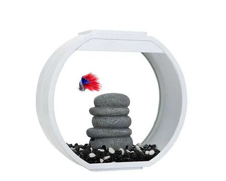 DECO  MINI AQUARIUM