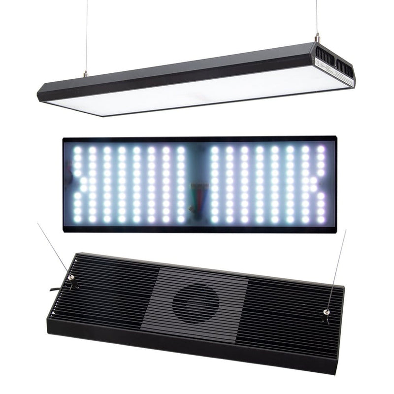 CHIHIROS - RGB Vivid 2 Black