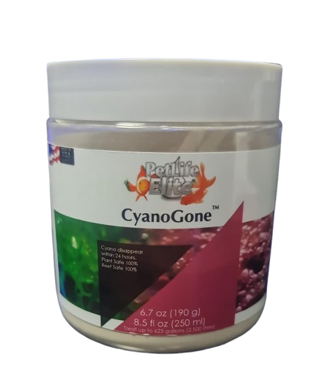 CYANOGONE 250ML