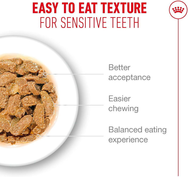 Royal Canin Feline Health Nutrition Ageing 11+ Gravy  12 × 85g