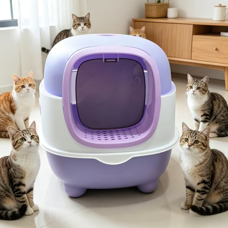 Fully Enclosed Large Cat Litter Box Set