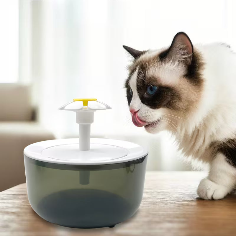 Cat and Dog Water Fountain