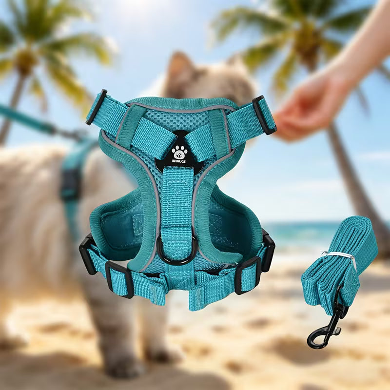 Escape-Proof Cat Harness and Leash Set