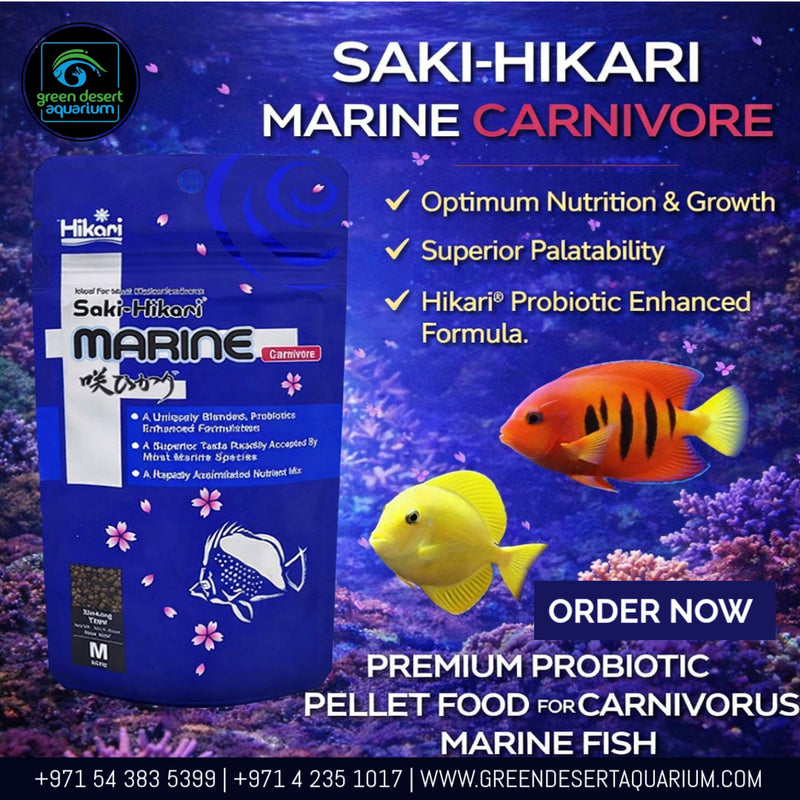 Saki-Hikari Marine Carnivore 40g – Premium Probiotic Pellet Food for Marine Fish