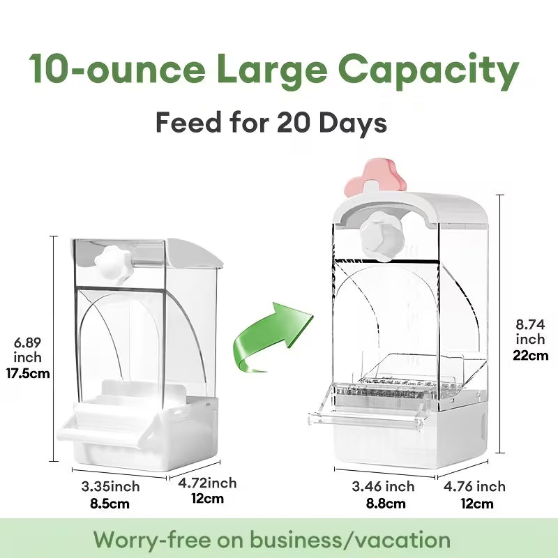 Parrot Automatic Feeder