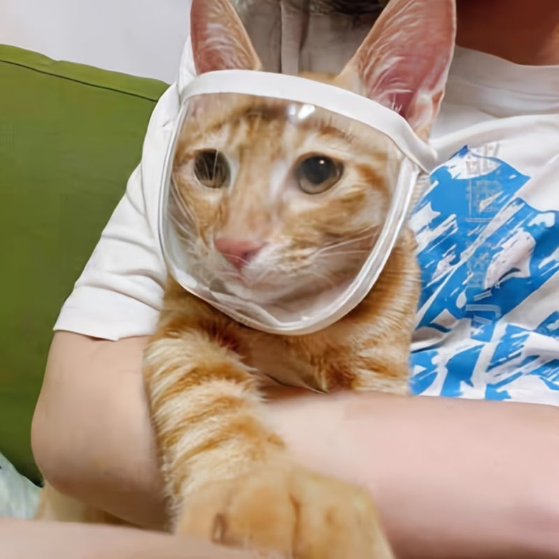 Pet Transparent Eye Mask