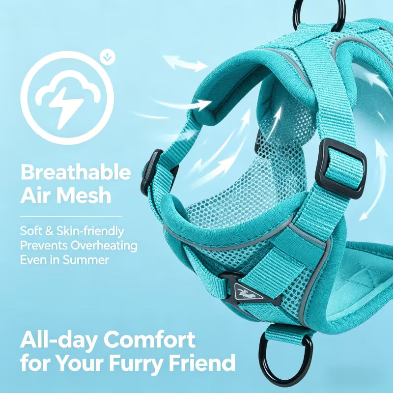 3-in-1 Cat Harness and Leash Set