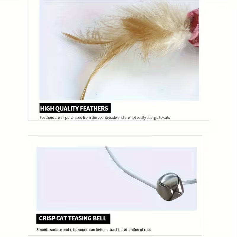 Cat Funny Toys