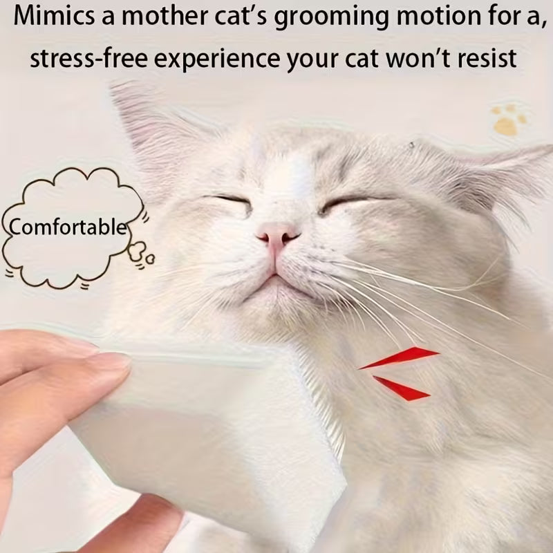Cat Chin Acne Care Kit