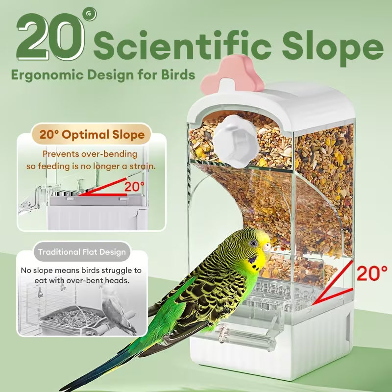 Parrot Automatic Feeder