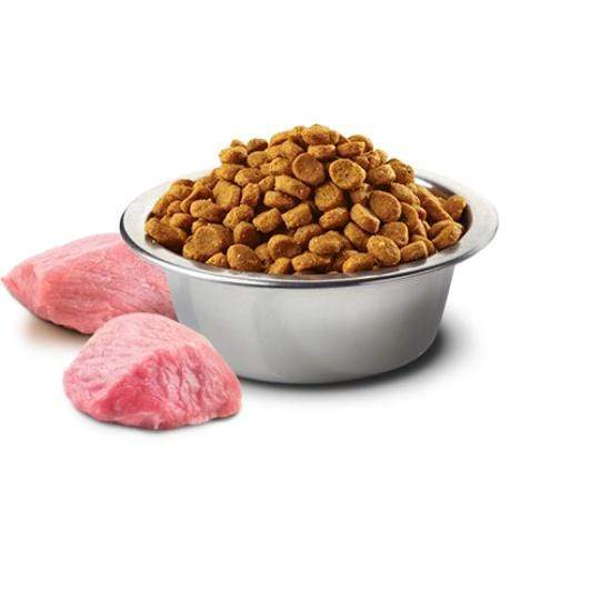 Farmina N&D Prime Chicken & Pomegranate Adult Cat Food – 10 kg