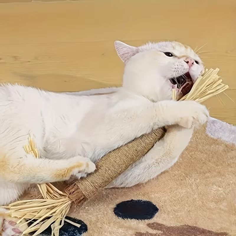 Cat Molar Chewing Toy Set