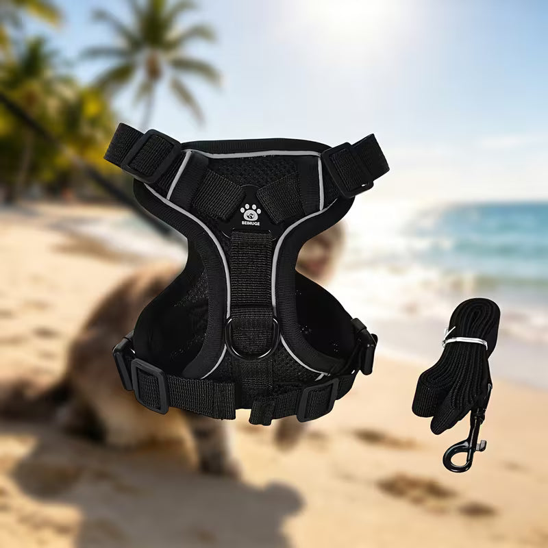 Escape-Proof Cat Harness and Leash Set