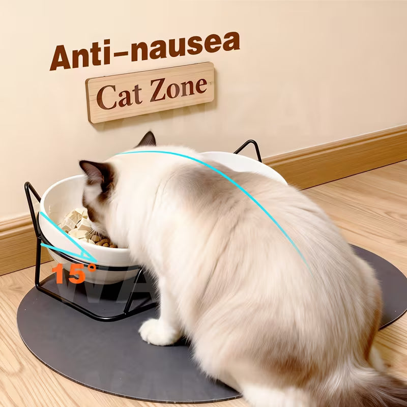 Wrought Iron Ceramic Double Bowl with Feeding Mat