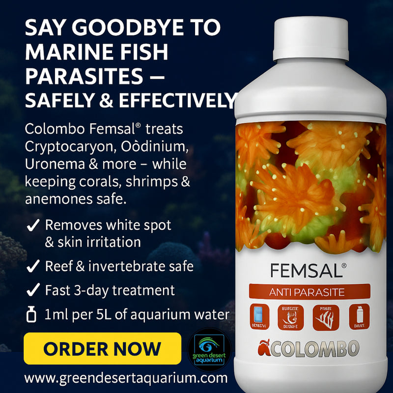 MARINE FEMSAL 500 ML