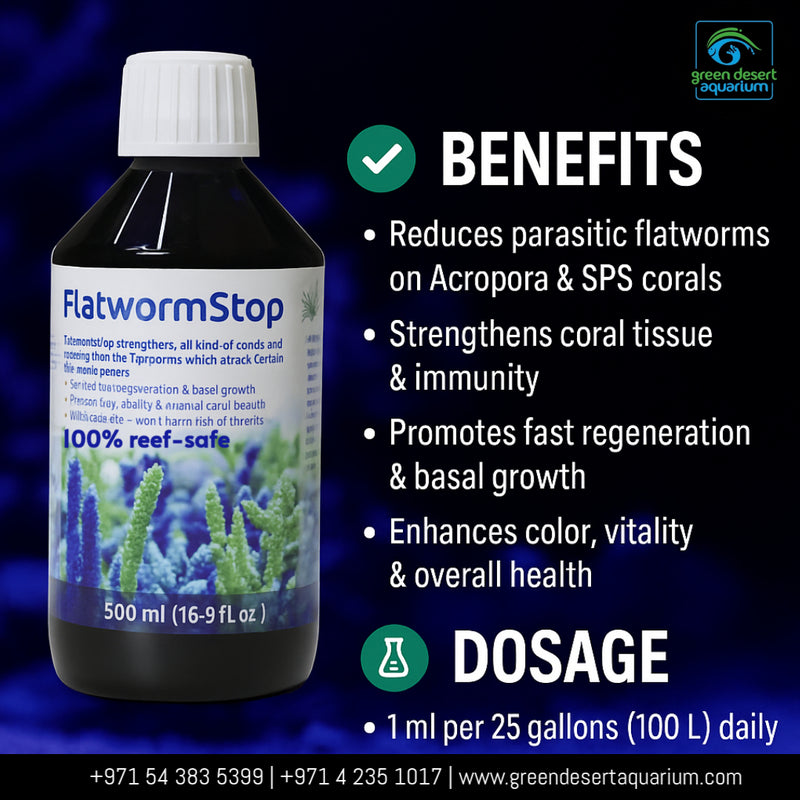 Korallen-Zucht Flatworm Stop