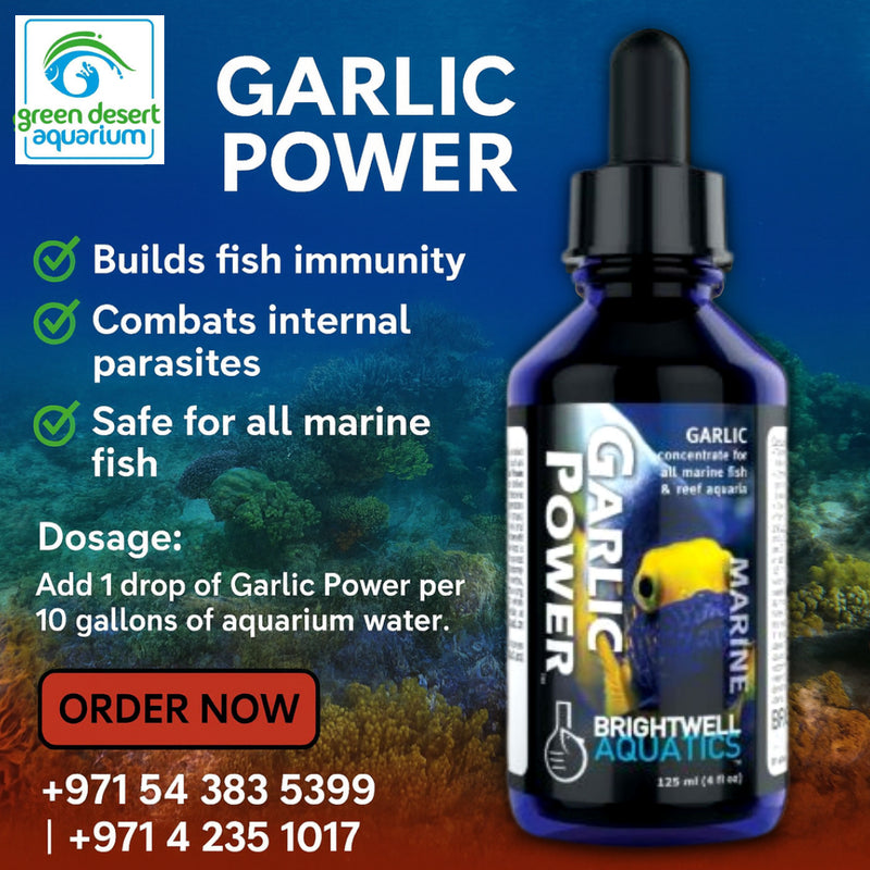 Garlic Power 30 mL