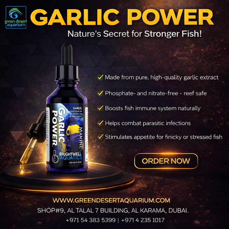 Brightwell Aquatics Garlic Power – Natural Fish Immune Booster & Appetite Enhancer