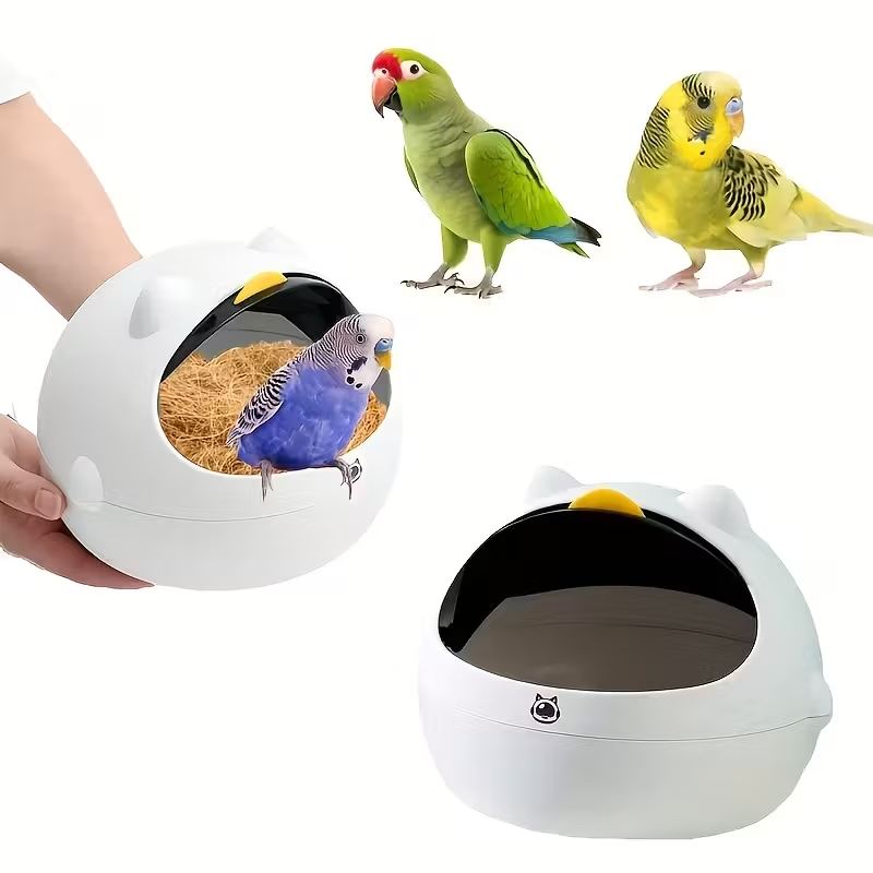 Bird Nest