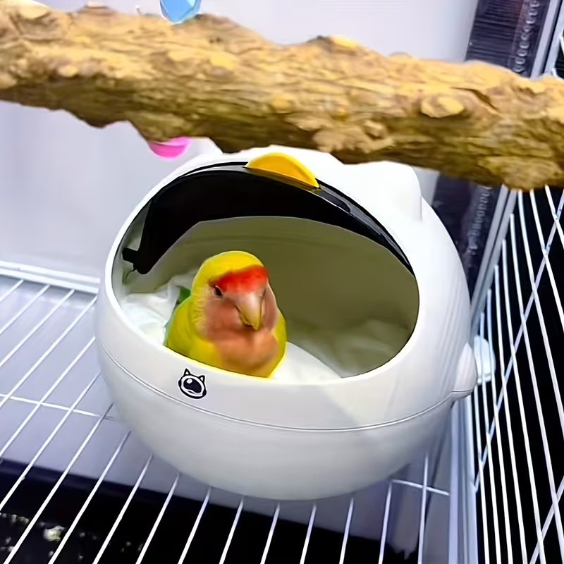 Bird Nest