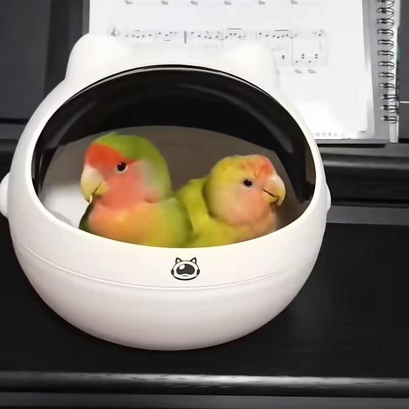 Bird Nest