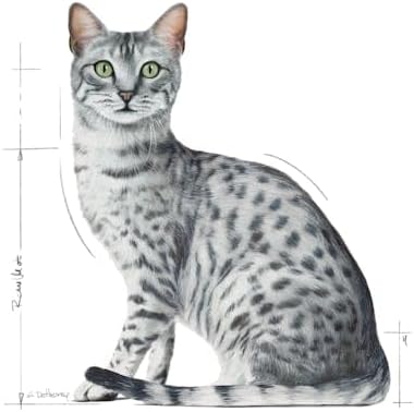 Feline Health Nutrition Indoor Gravy (Wet Food - Pouches) 12 x 85 g