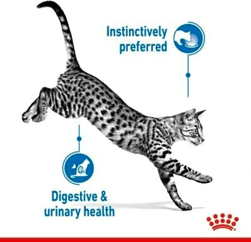 Feline Health Nutrition Indoor Gravy (Wet Food - Pouches) 12 x 85 g