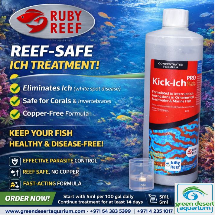 Rugby Reef Ruby Reef Kick-Ich PRO 8oz | Reef Safe Ich Treatment UAE — Green Desert ...