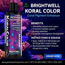Brightwell Koral Color