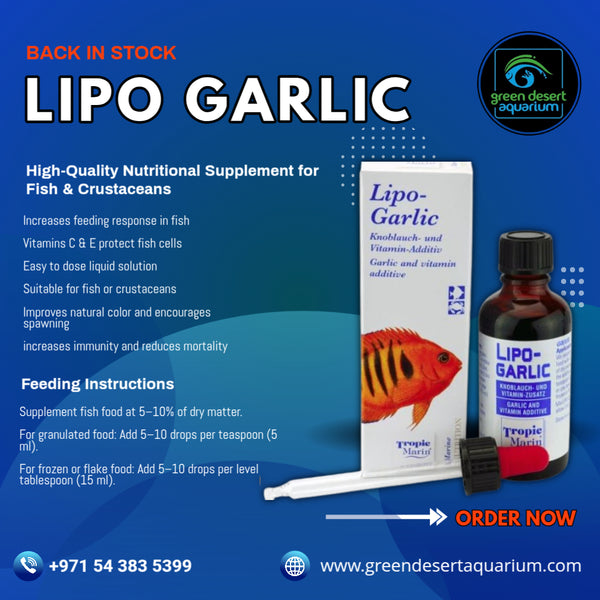 Lipo Garlic 50 ml