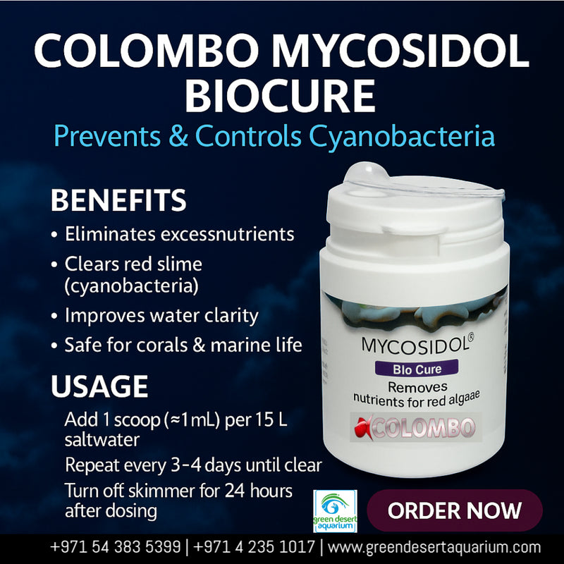 Colombo Mycosidol BioCure