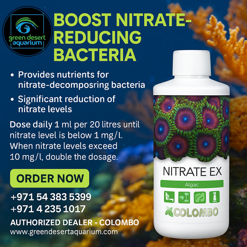 Colombo Nitrate Ex