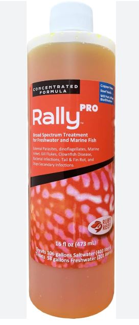 RUBY REEF - Rally Pro 16oz