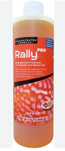 RUBY REEF - Rally Pro 16oz