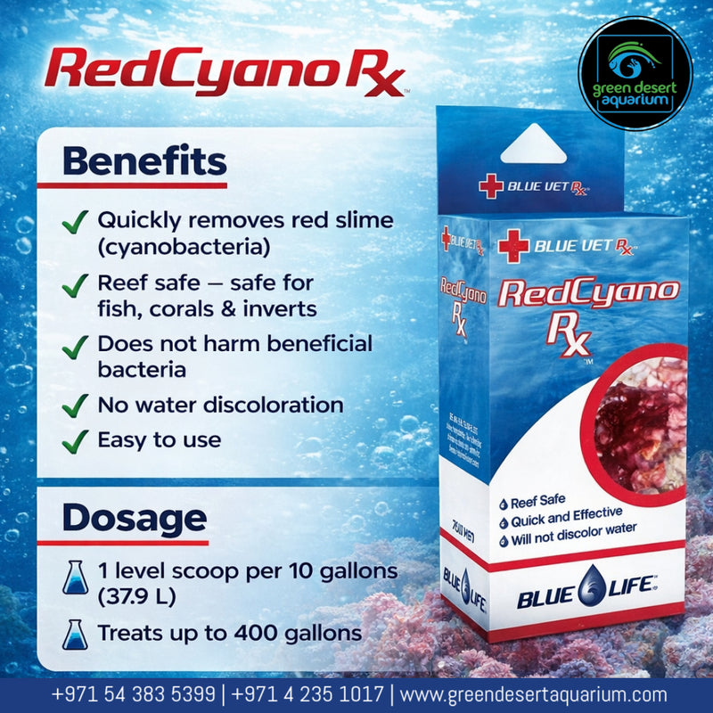 Blue Life Red Cyano Rx