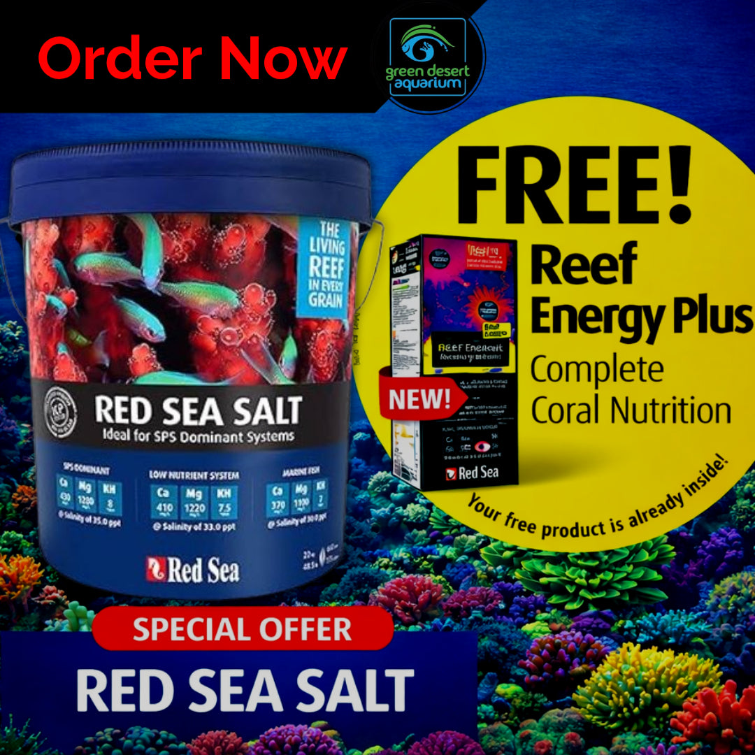 Red Sea Salt 22Kgs - Green Desert Aquarium — Green Desert Aquarium