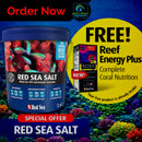 RED SEA SALT BUCKET22Kgs