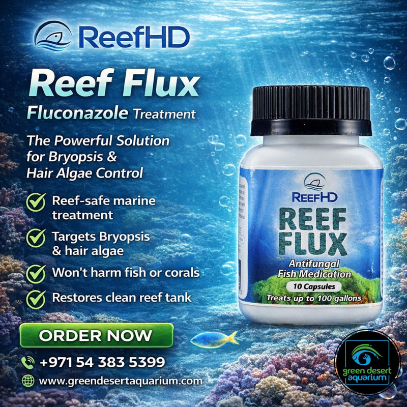 ReefHD Reef Flux Fluconazole Treatment – Marine Algae Control Solution
