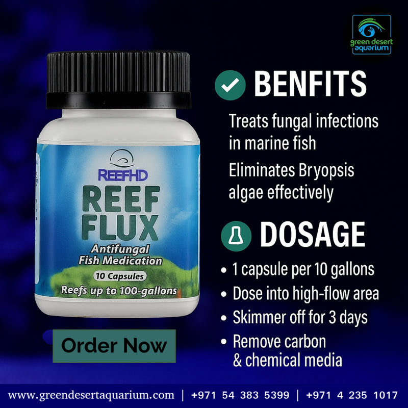 ReefHD Reef Flux