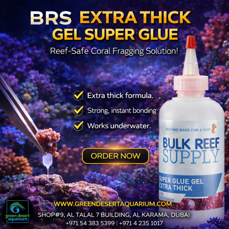 BRS Extra Thick Gel Super Glue 10 oz – Bulk Reef Supply Coral Frag Glue (Reef Safe)