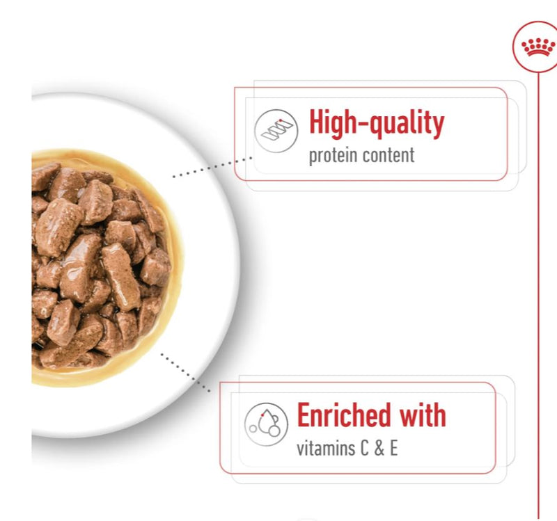 Size Health Nutrition Medium Adult (Wet Food - Pouches) 10 x 140 g