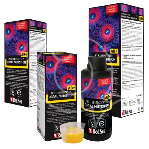 Reef Energy Plus (AB+) 1000ml