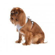 SPRING T-SHIRT HARNESS