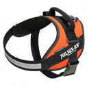 IDC HIGH VISIBILITY POWERHARNESS - UV ORANGE