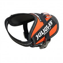 IDC HIGH VISIBILITY POWERHARNESS - UV ORANGE