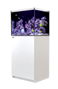 REEFER 170 Aquarium Set (60L x 50W x 137H cm)-PRE ORDER