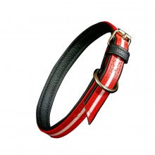 IDC LUMINO COLLAR - RED / WIDTH 2.5 CM & LENGTH 60 CM