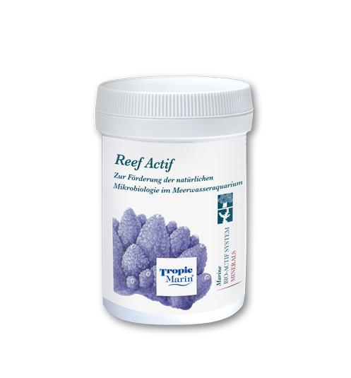 Reef Actif 60g
